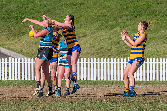 Rd 15 WPD - Sydney Uni v Southern Power - 22 July 2023