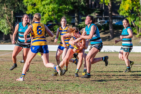 Rd 15 WPD - Sydney Uni v Southern Power - 22 July 2023