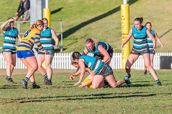 Rd 15 WPD - Sydney Uni v Southern Power - 22 July 2023