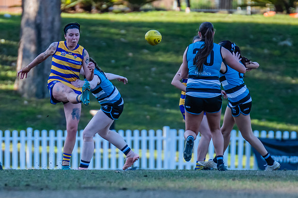 Rd 15 WPD - Sydney Uni v Southern Power - 22 July 2023