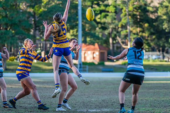 Rd 15 WPD - Sydney Uni v Southern Power - 22 July 2023