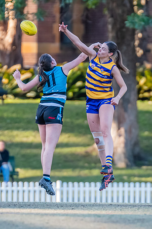 Rd 15 WPD - Sydney Uni v Southern Power - 22 July 2023