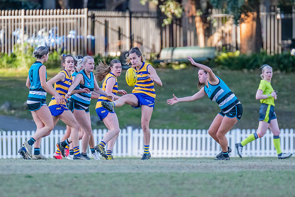 Rd 15 WPD - Sydney Uni v Southern Power - 22 July 2023