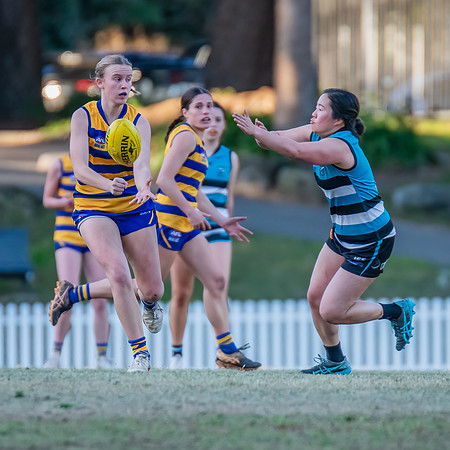 Rd 15 WPD - Sydney Uni v Southern Power - 22 July 2023