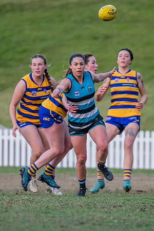 Rd 15 WPD - Sydney Uni v Southern Power - 22 July 2023