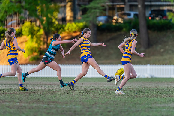 Rd 15 WPD - Sydney Uni v Southern Power - 22 July 2023