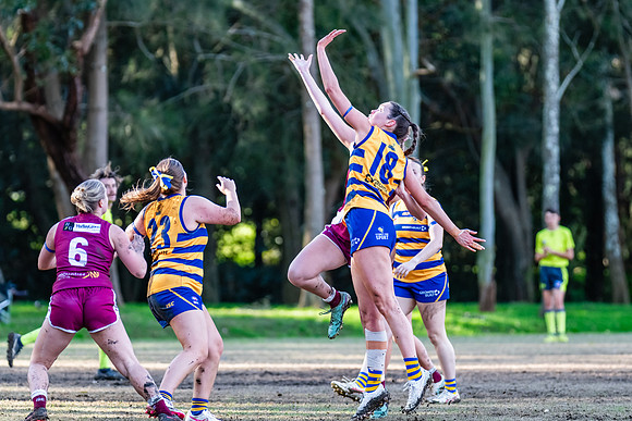 Rd 17 WPD - Manly Warringah v Sydney Uni - 16 August 2025
