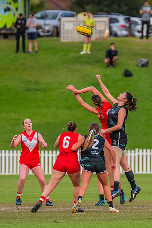 Rd 7 WPD - St George v UTS - 25 May 2024