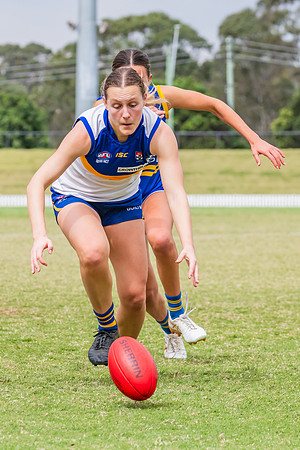 WPD Semi Final - Parramatta v Sydney Uni - 8 September 2024