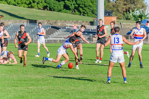 Rd 6 MPD - UNSW ES v North Shore - 14 May 2022