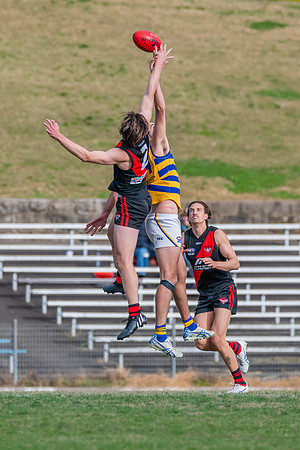 MPD Qualifying Final - North Shore v Sydney University - 20 Augu