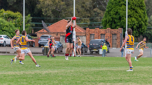 MPD Qualifying Final - North Shore v Sydney University - 20 Augu