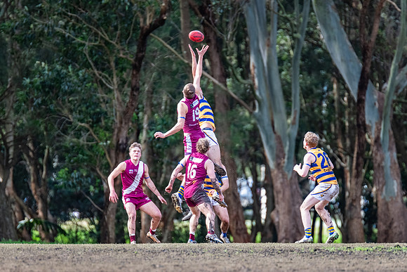 Rd 17 MPD - Manly Warringah v Sydney Uni - 16 August 2025