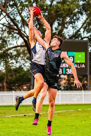 Rd 8 MPD - UTS v SWS - 31 May 2025