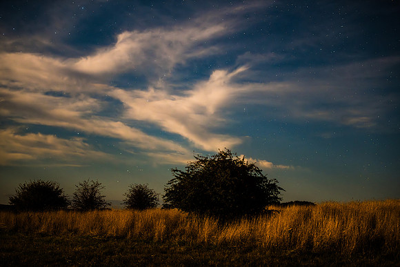 Stargazing at the night sky in the country