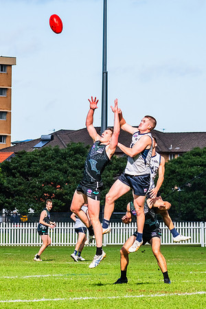 Rd 8 MPD - UTS v SWS - 31 May 2025