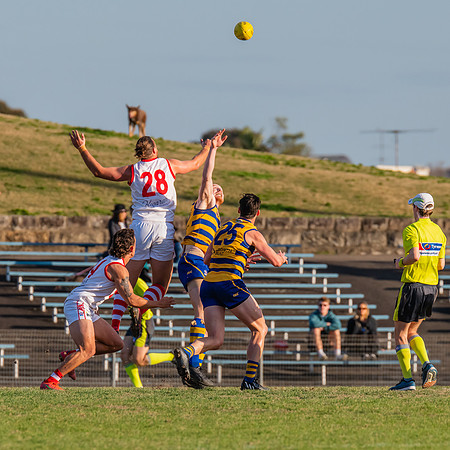 MPD Minor Semi Final - Sydney University v St George - 28 August