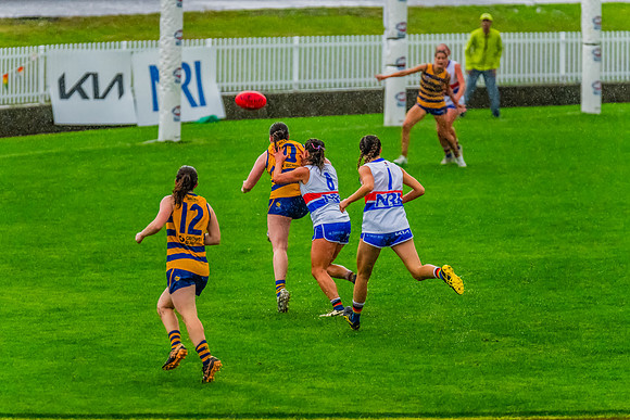 Rd 8 WPD - UNSW-ES v Sydney Uni - 1 June 2024