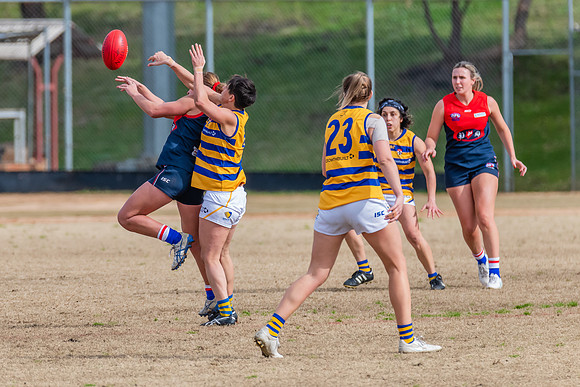Rd 14 WPD - Pennant Hills v Sydney Uni - 16 July 2022