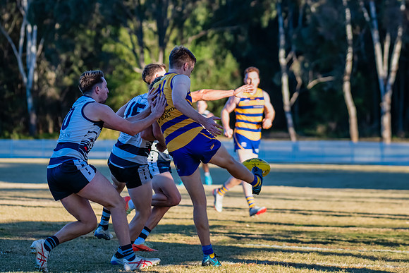 Rd 10 MD1 - Camden v Sydney Uni - 21 June 2025
