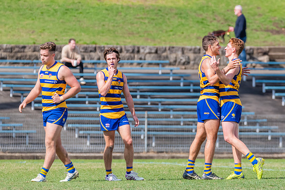 MPD Reserves Major Semi Final - Sydney University v North Shore