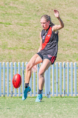 WPD Elimination Final - North Shore v Sydney Uni - 1 September 2