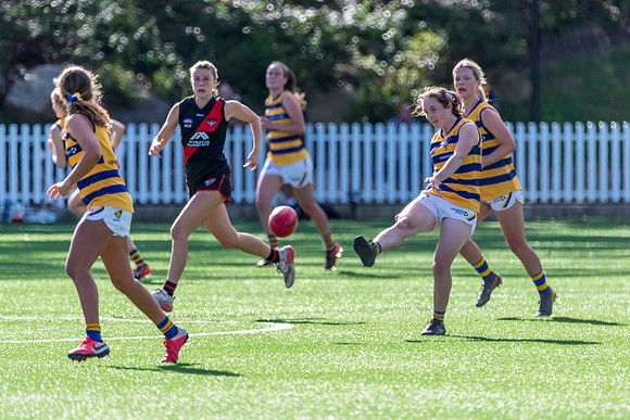 Rd 3 WPD - North Shore v Sydney Uni - 23 April 2022