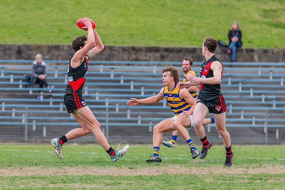 MPD Qualifying Final - North Shore v Sydney University - 20 Augu