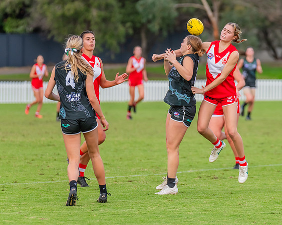 Rd 7 WPD - St George v UTS - 25 May 2024