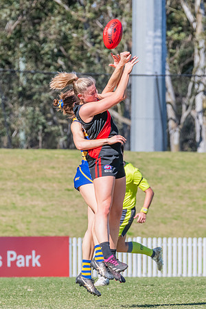 WPD Elimination Final - North Shore v Sydney Uni - 1 September 2