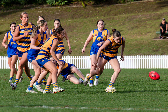 Rd 12 WPD - Sydney Uni v East Coast - 5 July 2025