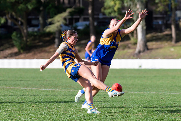 Rd 12 WPD - Sydney Uni v East Coast - 5 July 2025