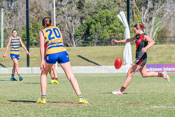 WPD Elimination Final - North Shore v Sydney Uni - 1 September 2