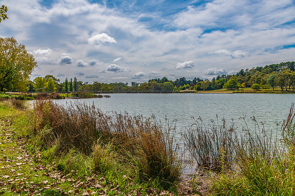 Early Autumn at Lake Canobolas