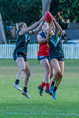 Rd 11 WPD - UTS v Pennant Hills - 25 June 2022