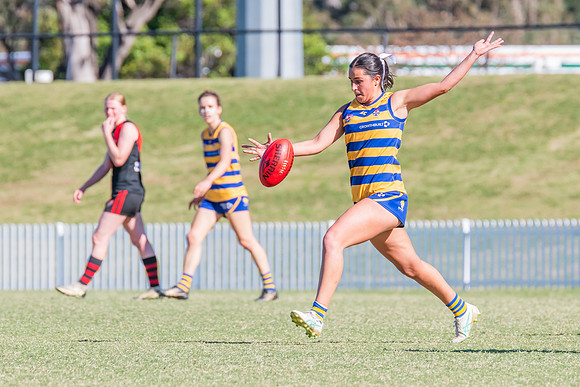 WPD Elimination Final - North Shore v Sydney Uni - 1 September 2