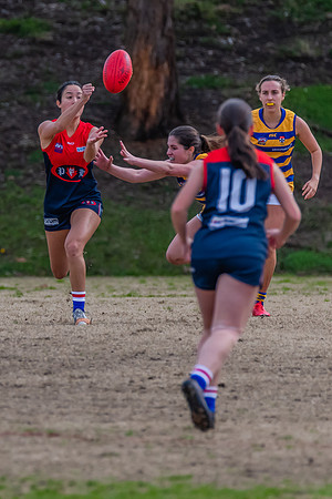 Rd 14 WPD - Pennant Hills v Sydney Uni - 16 July 2022