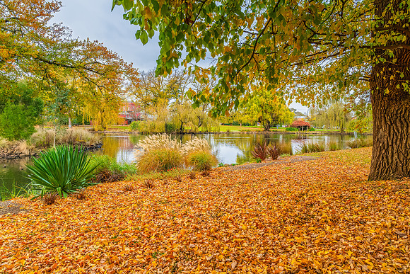 Castlemaine Botanical Gardens in late Autumn