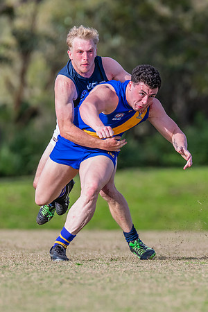 Black Diamond Plate Men's Nelson Bay v Newcastle City - 17 Septe