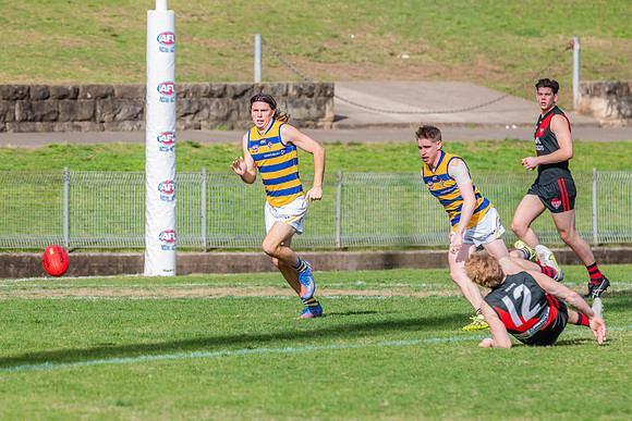 MPD Qualifying Final - North Shore v Sydney University - 20 Augu