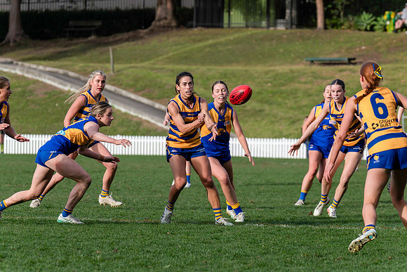 Rd 12 WPD - Sydney Uni v East Coast - 5 July 2025