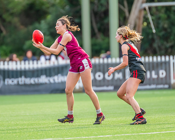 Rd 1 WPD - North Shore v Manly Warringah - 8 June 2024