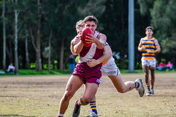 Rd 17 MPD - Manly Warringah v Sydney Uni - 16 August 2025