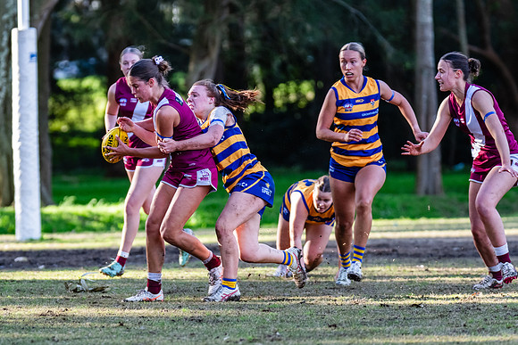 Rd 17 WPD - Manly Warringah v Sydney Uni - 16 August 2025