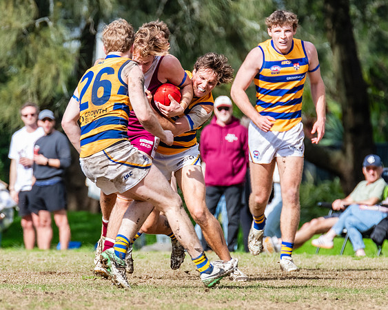 Rd 17 MPD - Manly Warringah v Sydney Uni - 16 August 2025