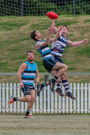 Platinum Div Reserves Preliminary Final - Southern Power v Camde