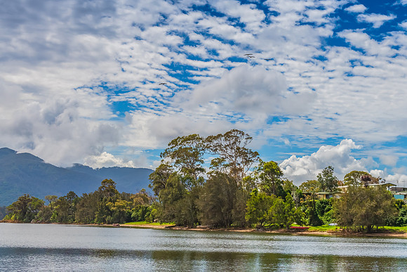 After the rain at Wallaga Lake