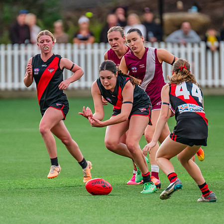 Rd 1 WPD - North Shore v Manly Warringah - 8 June 2024
