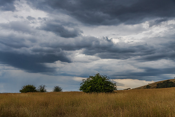 Late afternoon Summer storm