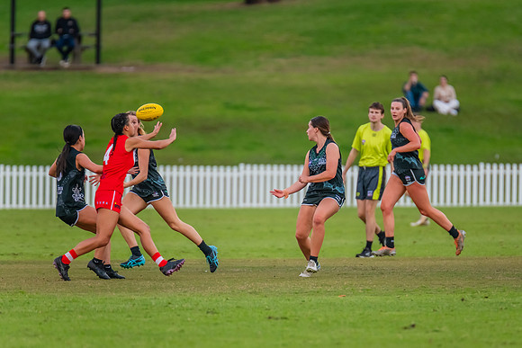 Rd 7 WPD - St George v UTS - 25 May 2024